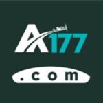 A177 Game